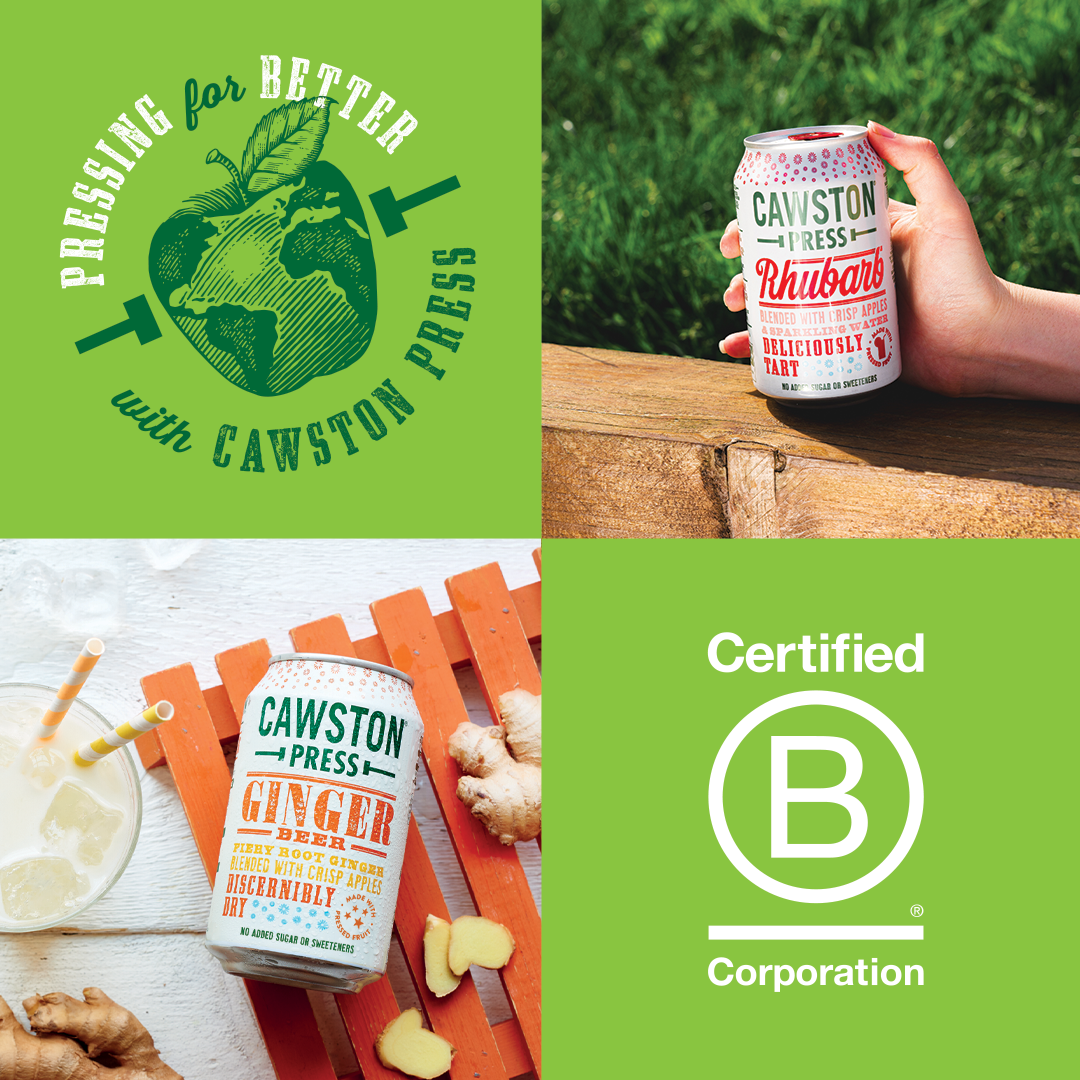 Sparkling Ginger Beer (24/48 pack)