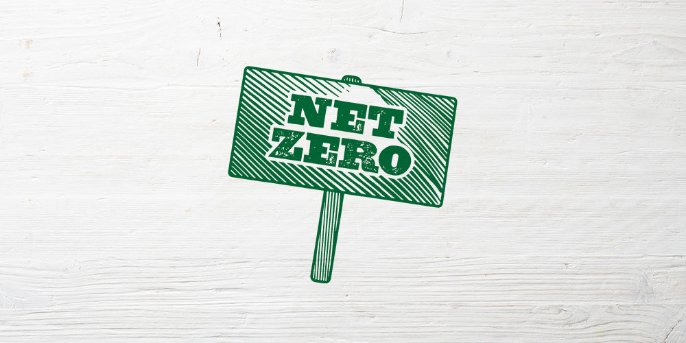 1. Net Zero