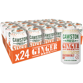 Sparkling Ginger Beer (24/48 pack)