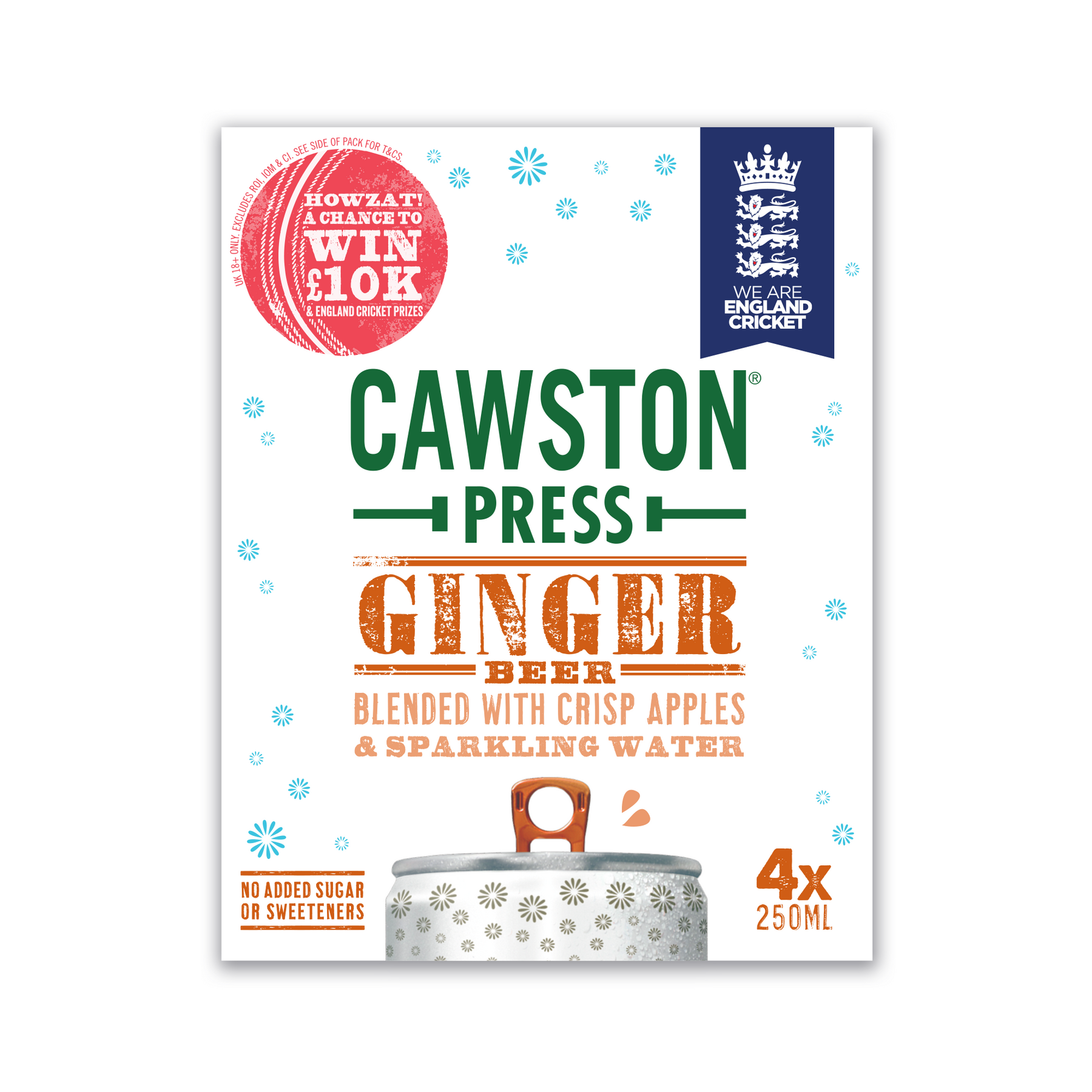Multipack x 4 Sparkling Ginger Beer (6 pack)