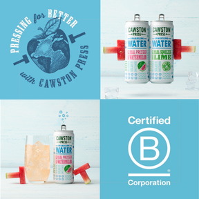 Sparkling Water Watermelon 440ml (12 Pack)